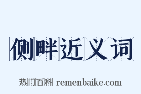 侧畔近义词是什么意思的图片